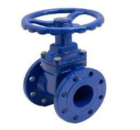 Vanne Opercule Série Longue FSH DN300 PN10/16