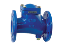 Clapet Bridé à Boule pour Eaux Usées DN125 PN16